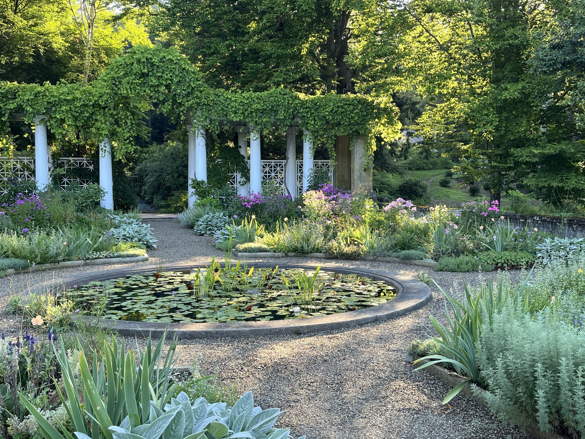 A circular lily pond in a garden, framed by a white column pergola covered in climbing vines